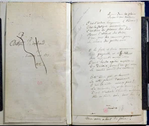 Pagine manoscritte da 