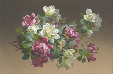 Fiori: Rose