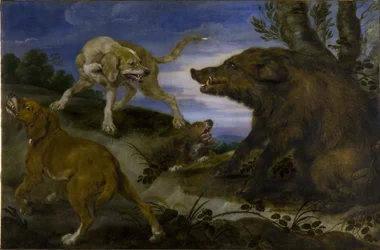 Caccia al cinghiale