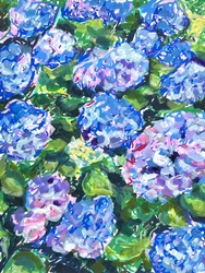 Fiori di ortensia dai colori vivaci