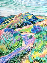Un prato colorato sul fianco della collina