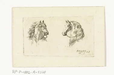 Due teste di cavallo