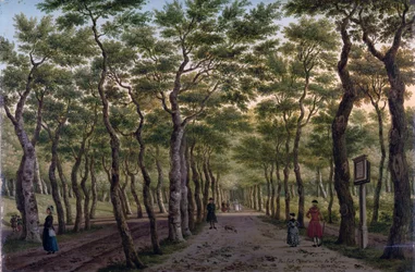 Il Herepad nel Haagse Bos