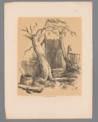 Recinto tra due alberi