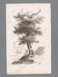Paesaggio con albero