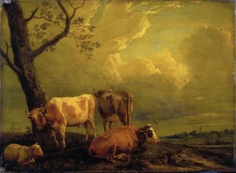 Bovini e pecore