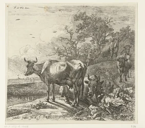 Il pastore