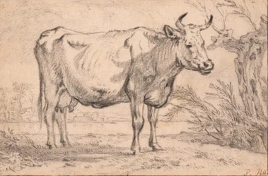 Una mucca in piedi