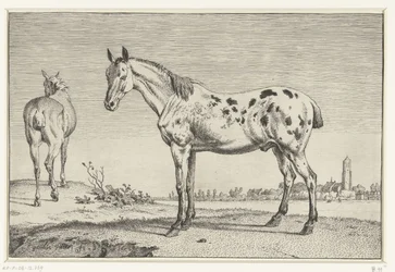 Il cavallo decapitato
