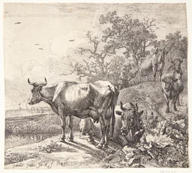 Il mandriano