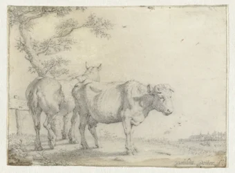 Cavallo e una mucca vicino a un albero