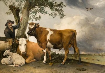 Il toro
