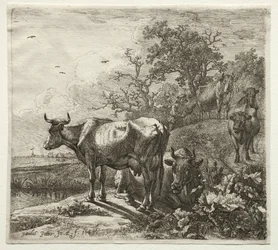 Il mandriano