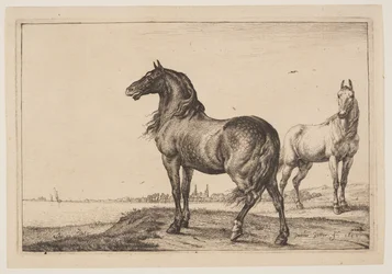 Il cavallo tagliato, da Serie di cavalli