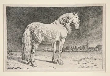 Il cavallo frisone