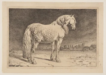 Il cavallo frisone, da Serie di cavalli