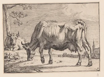 La mucca al pascolo, da Vari buoi e mucche