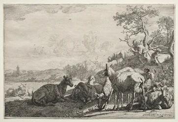 Il pastore
