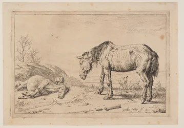 Il cavallo consumato (La Mazette), da Serie di cavalli