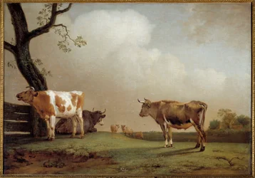 Il prato