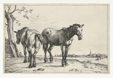 Due cavalli da tiro Cavalli (titolo della serie)