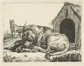 Cane sdraiato a catena