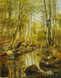 Paesaggio fluviale boscoso