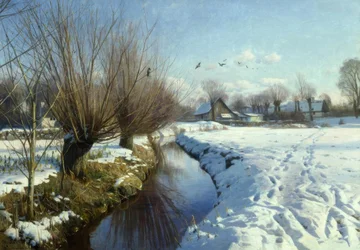Giornata invernale soleggiata presso il ruscello