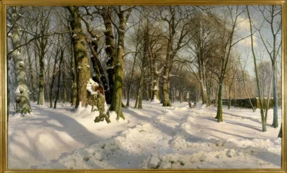 Foresta invernale innevata alla luce del sole