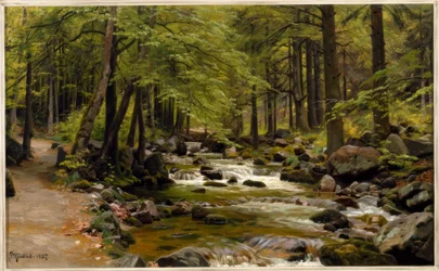 Ruscello nel bosco in primavera