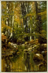Ruscello nel tardo estate