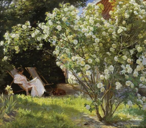 Rose. Marie Krøyer seduta sulla sedia a sdraio nel giardino presso la casa della signora Bendsen