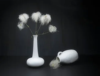 Bianco su nero.
