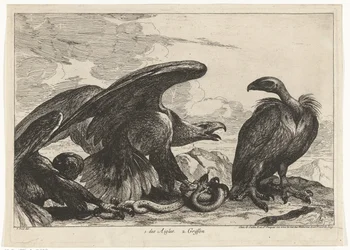 Avvoltoio e aquila con serpente