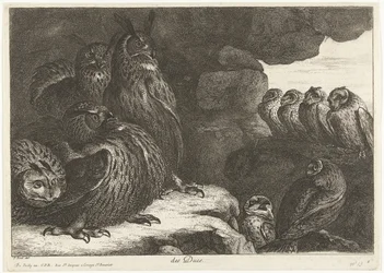 Gufi in una grotta