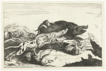 Cani che cacciano un cinghiale