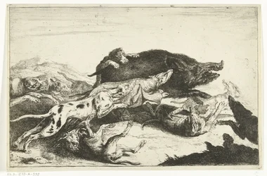 Cani che cacciano un cinghiale