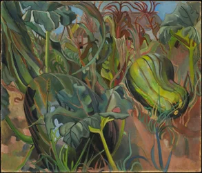 Il giardino ingarbugliato