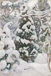 Ginepro nella neve