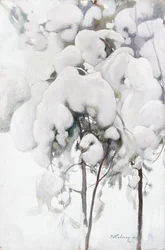 Giovani pini coperti di neve