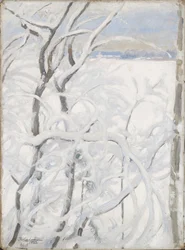 Albero in inverno