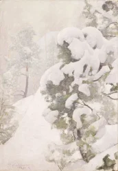 Paesaggio invernale