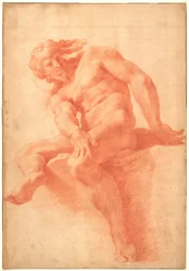 Giovane uomo nudo seduto
