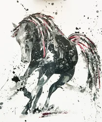 Capriccio, 2014