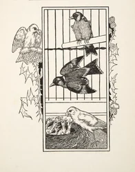 Un canarino caritatevole, da Cento aneddoti di animali, pub. 1924
