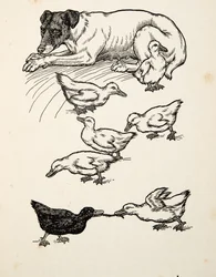 Una madre adottiva singolare, da Cento aneddoti di animali, pub. 1924