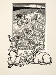 Una coppia astuta, da Cento aneddoti di animali, pub. 1924