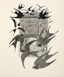Un usurpatore punito, da Cento aneddoti di animali, pub. 1924