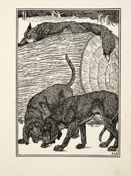 Astuto come una volpe, da A Hundred Anecdotes of Animals, pub. 1924