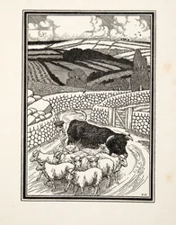 Andare al mercato, da Cento aneddoti di animali, pub. 1924